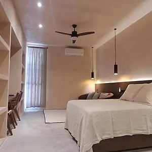 Mid-498 Centro Appartement Mérida